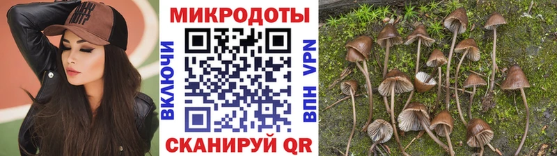 Купить где  Анива  Галлюциногенные грибы Magic Shrooms 