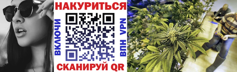 Купить Анива Бошки Шишки ГИДРОПОН
